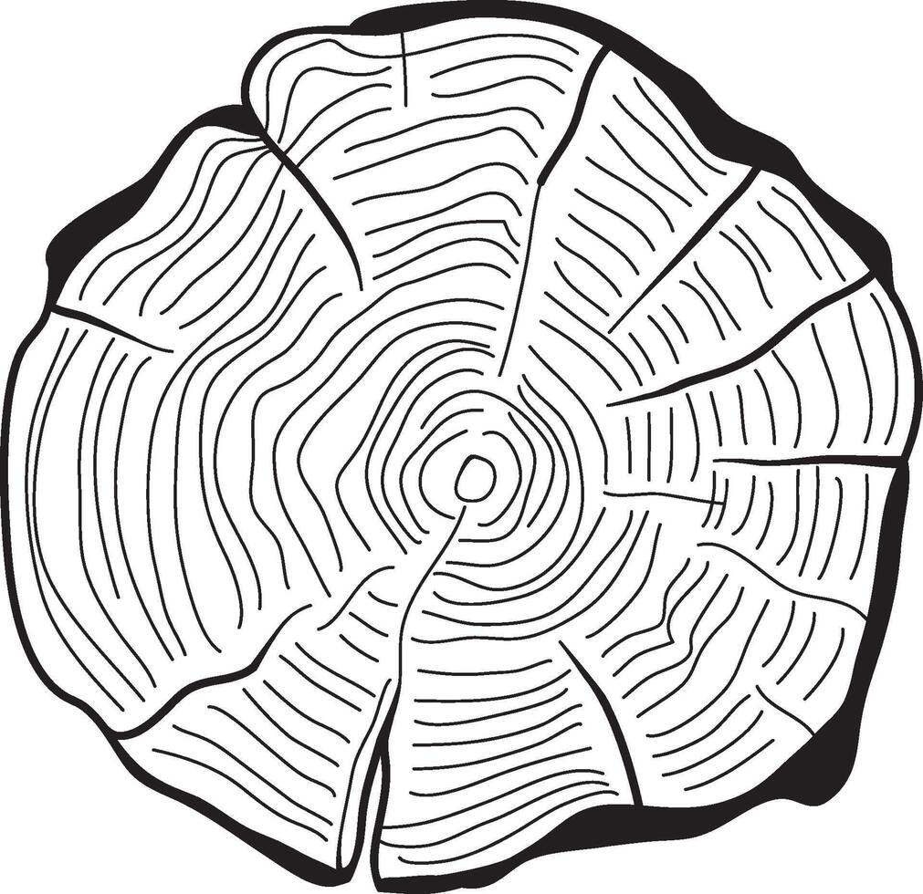 madera circulo líneas textura garabatear vector