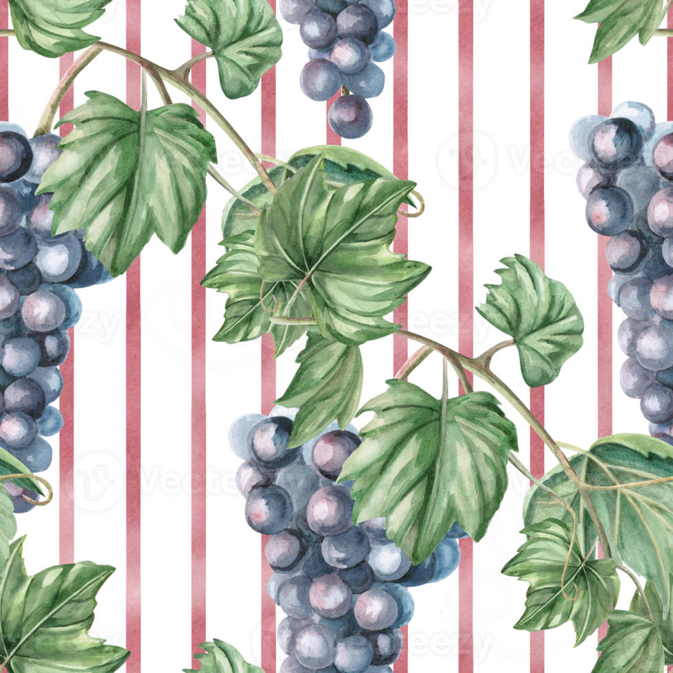 Seamless pattern with diagonal grape vines on striped background. Watercolor illustration in realistic style for packaging design, wine list, printing on kitchen textiles and fabric. png