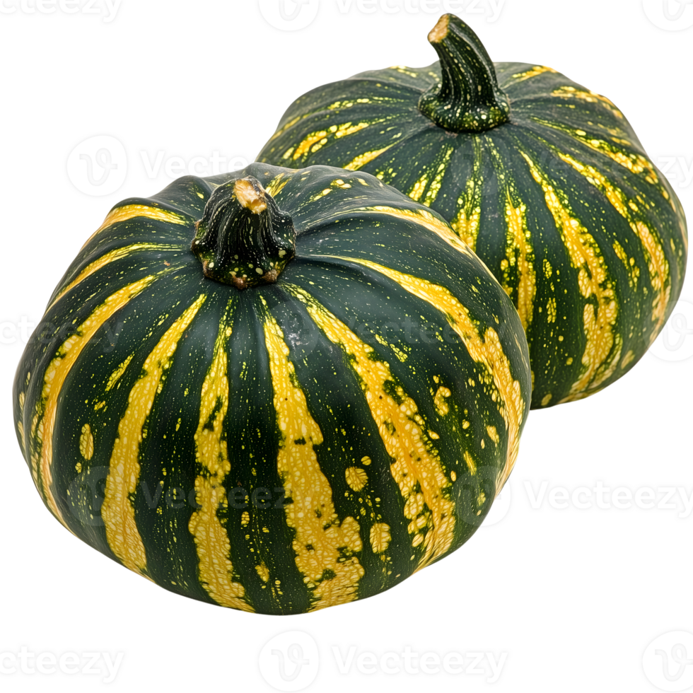 pumpkins 様 黒ひげ＆赤髪＆大蛇丸 Orange and Black Striped Pumpkin Halloween Figurine