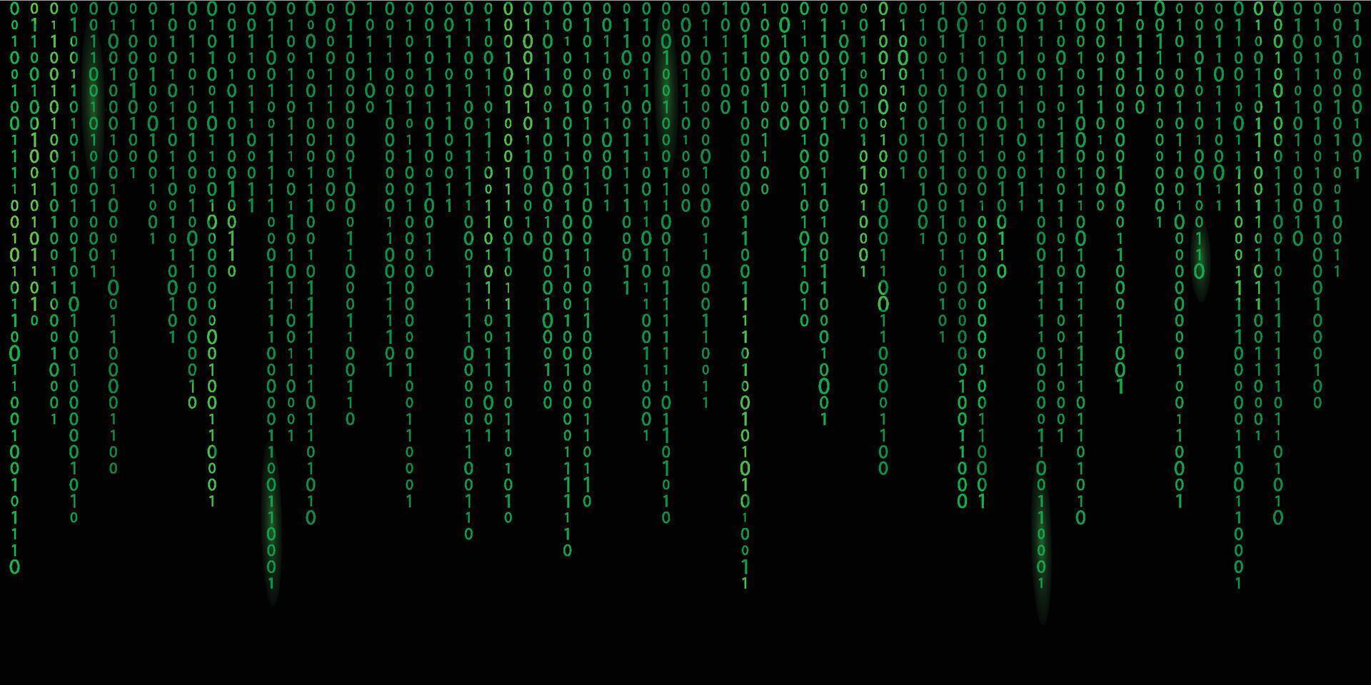 Green matrix digital binary code streams on black background, hacker style. Digital binary code wallpaper with streaming 0s and 1s in a futuristic style vector