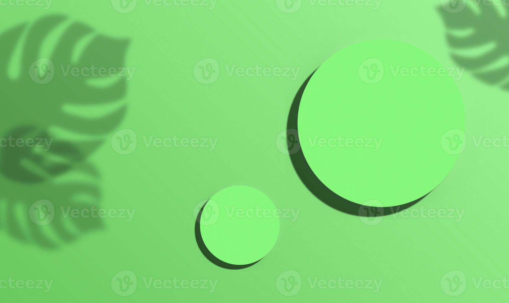 Geen circles of different sizes with shadows are located on a green background. Shadows from monstera leaves are on the edges. 3D rendering illustration photo