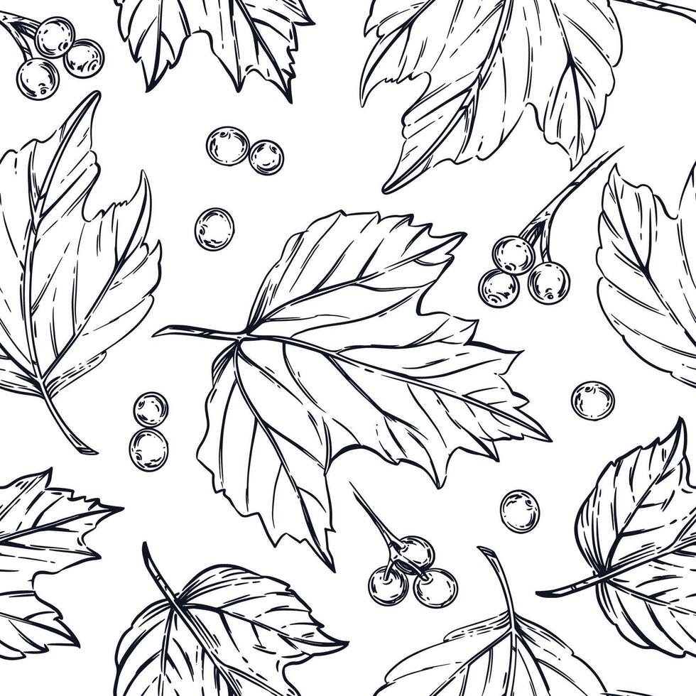 Viburnum berry, leaves of the viburnum shrub, all objects are hand-drawn in ink and converted into . Seamless Pattern for Printing on Fabric, Paper, For Packaging Design, Textile vector