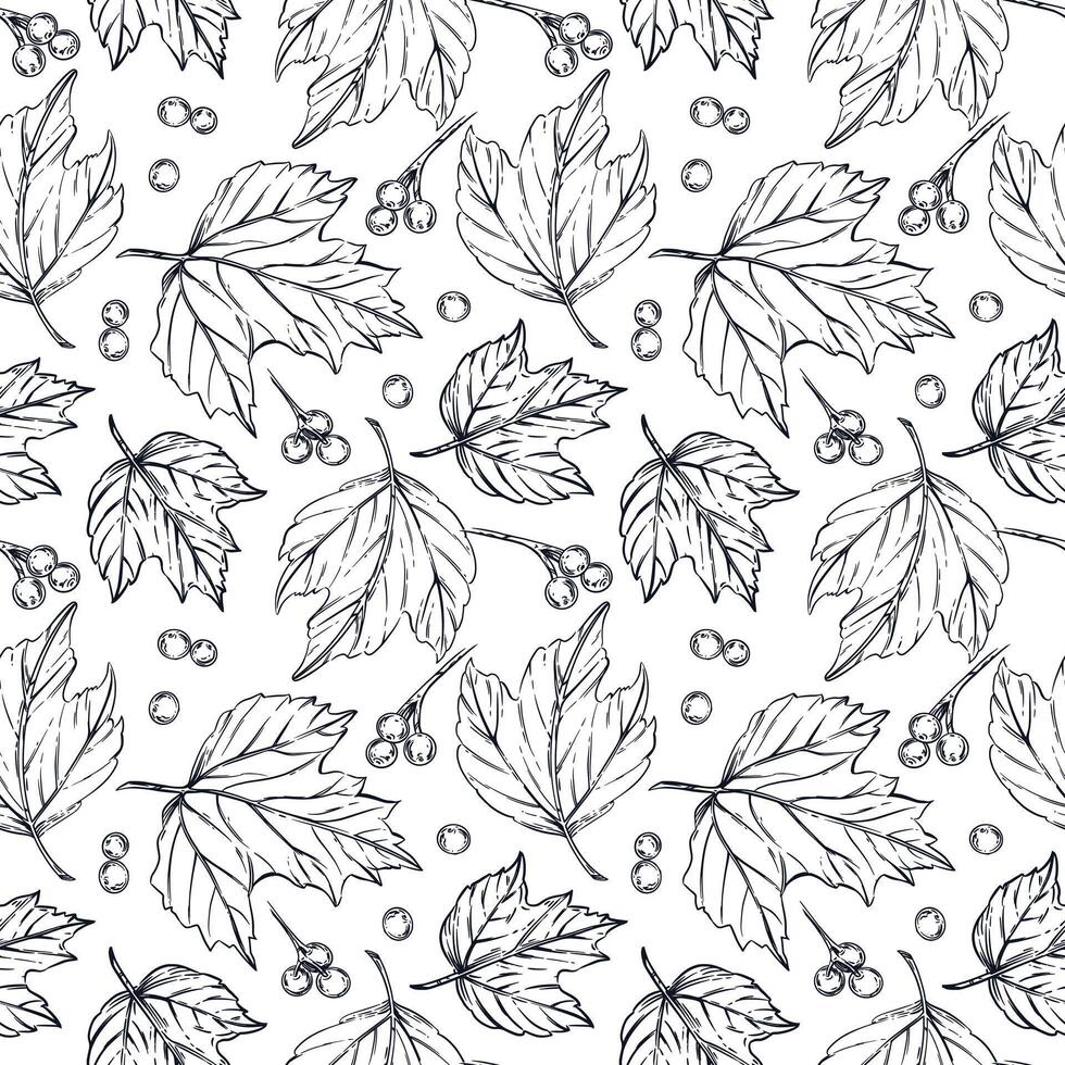 Seamless pattern of viburnum berries, leaves of viburnum shrub. All objects are hand-drawn in ink converted into . The illustration is suitable for printing on fabric, paper, for design vector