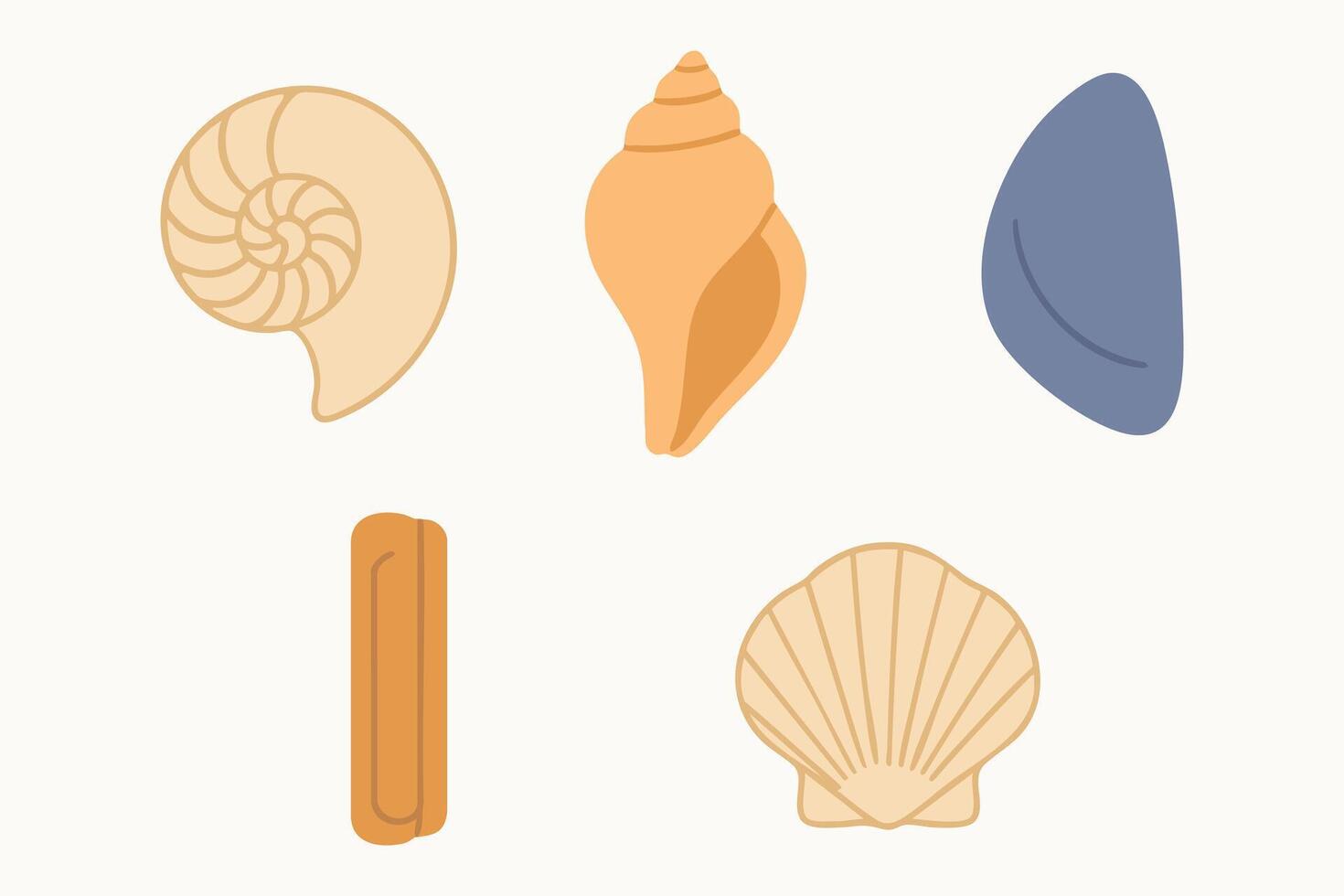 Mixed seashell assortment with whelk clam and scallop in warm tones vector