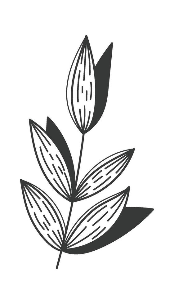 Botanical Leaf with Textured Pattern vector
