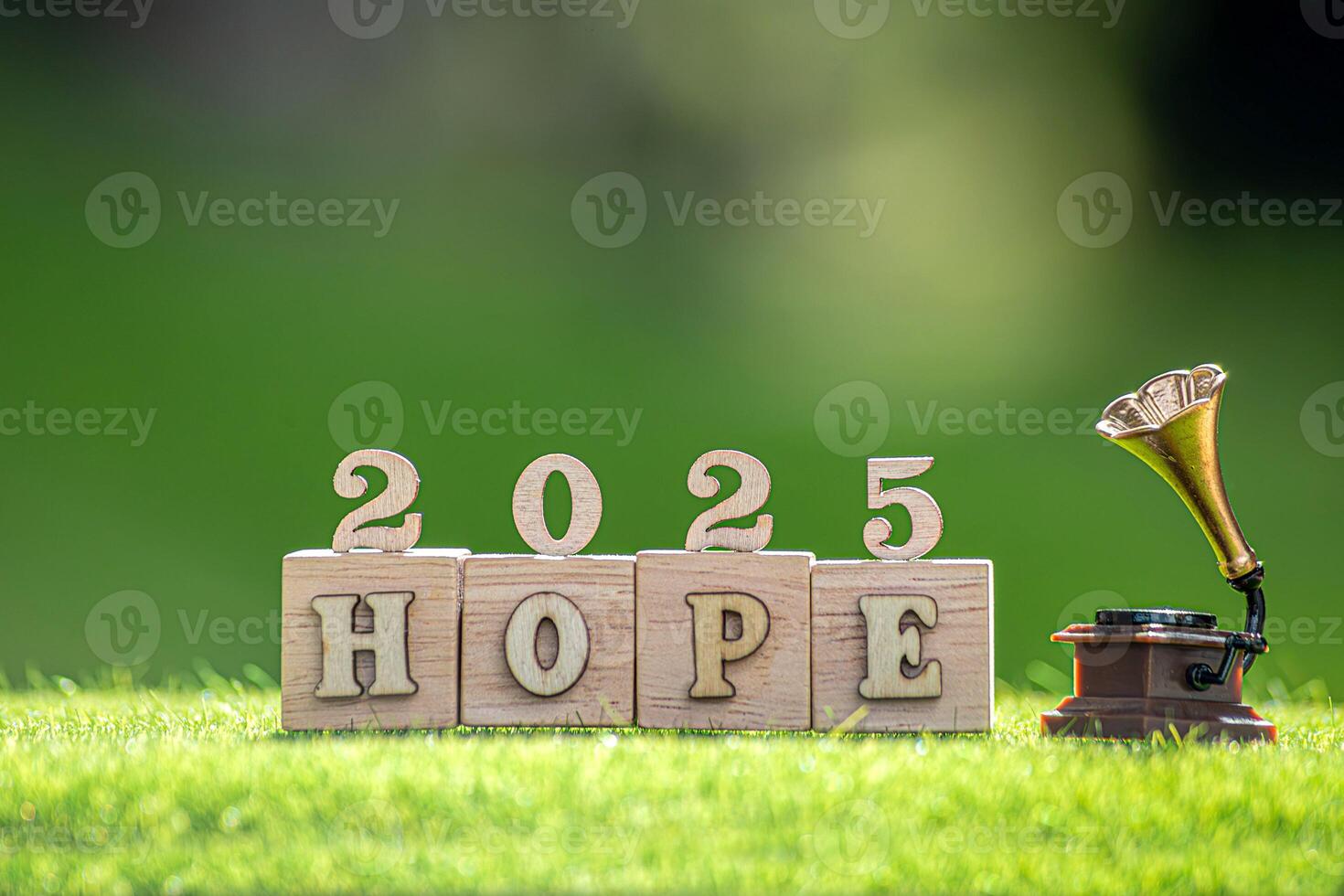 Action Plan 2025 Cube with text 2025 plans, goals, actions to list and plan for next year. Wooden cube with year 2025, plans, goals, actions, development19 photo