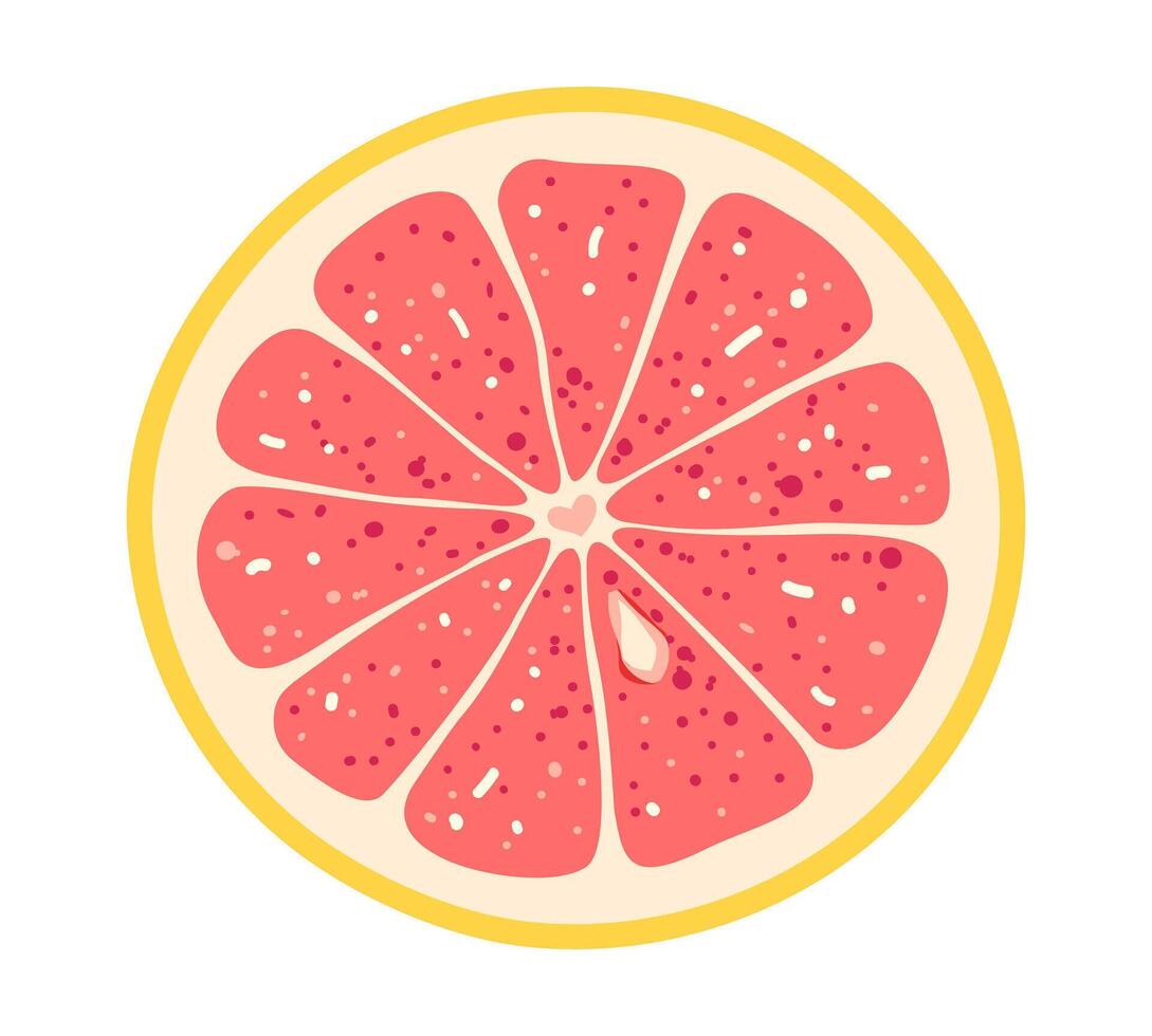 Fresh grapefruit circle slice isolated on white background. in flat style vector