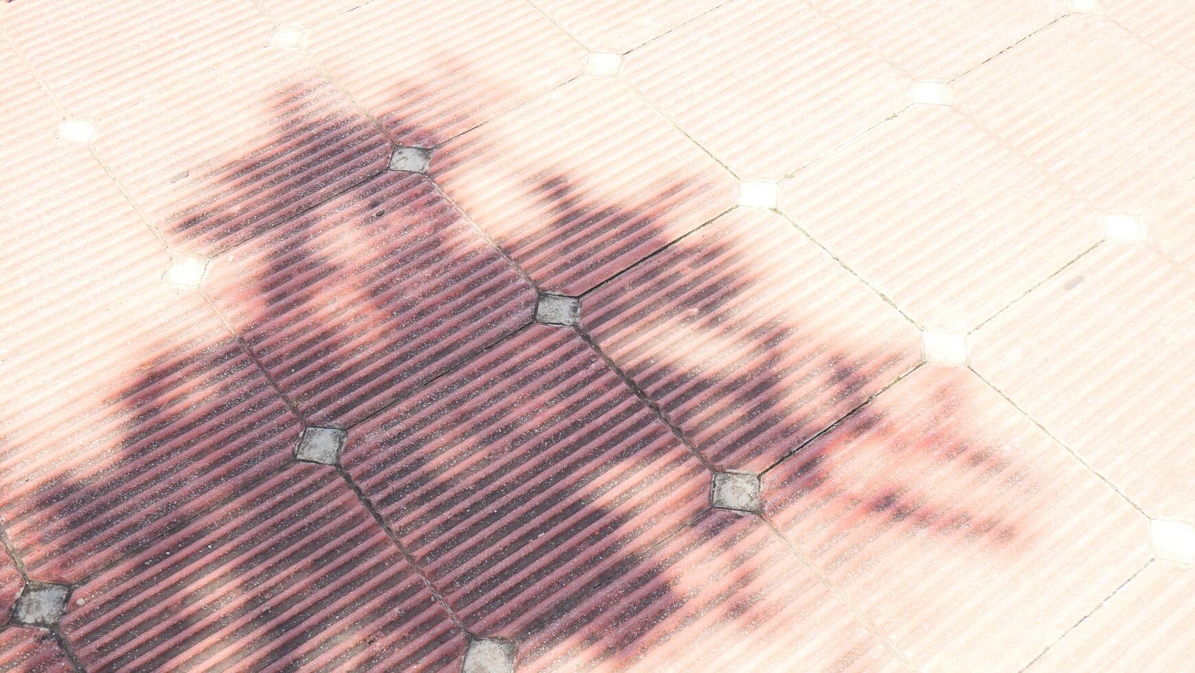 Abstract shadow of a tree cast on a patterned, tiled walkway, creating a unique texture and design photo