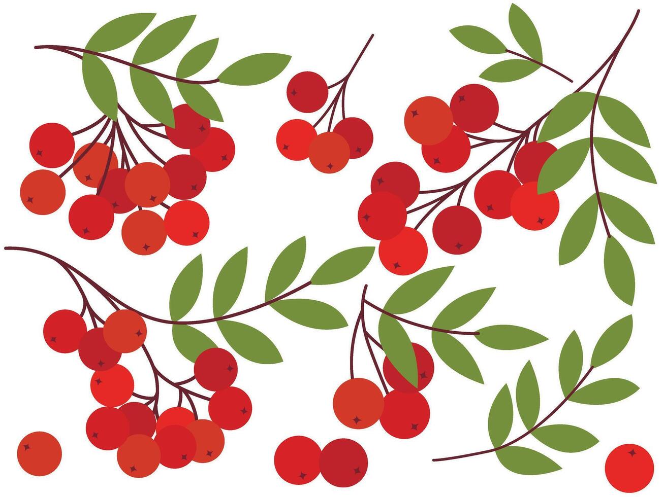 Hand drawn set of ripe rowan berries. Red orange fresh berries of different variations - on branch with foliage, in group, single isolated on white background. Autumn natural decor, elements vector