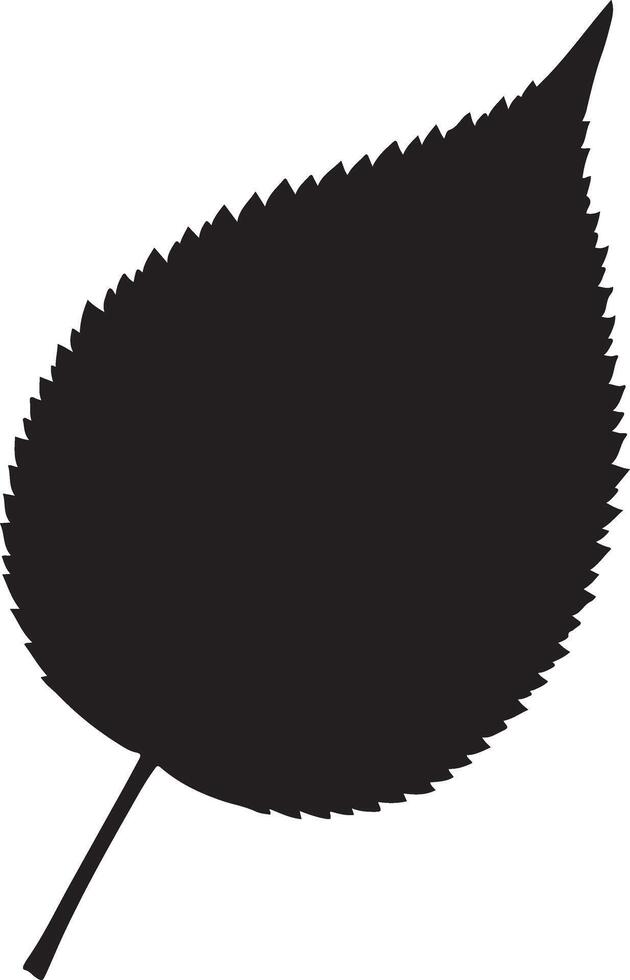 Silhouette of a single leaf isolated on white background, a simple and natural design vector