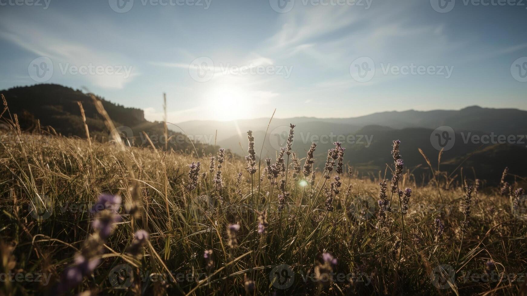 Serene sunrise over a mountain landscape with blooming wildflowers in the foreground photo