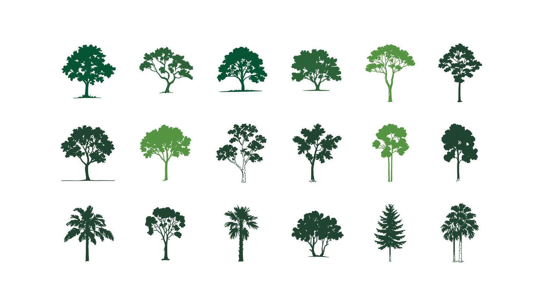 Set of Tree Silhouettes Diverse foliage and branching patterns for ecological and landscape design elements on a white background, greenery concepts vector