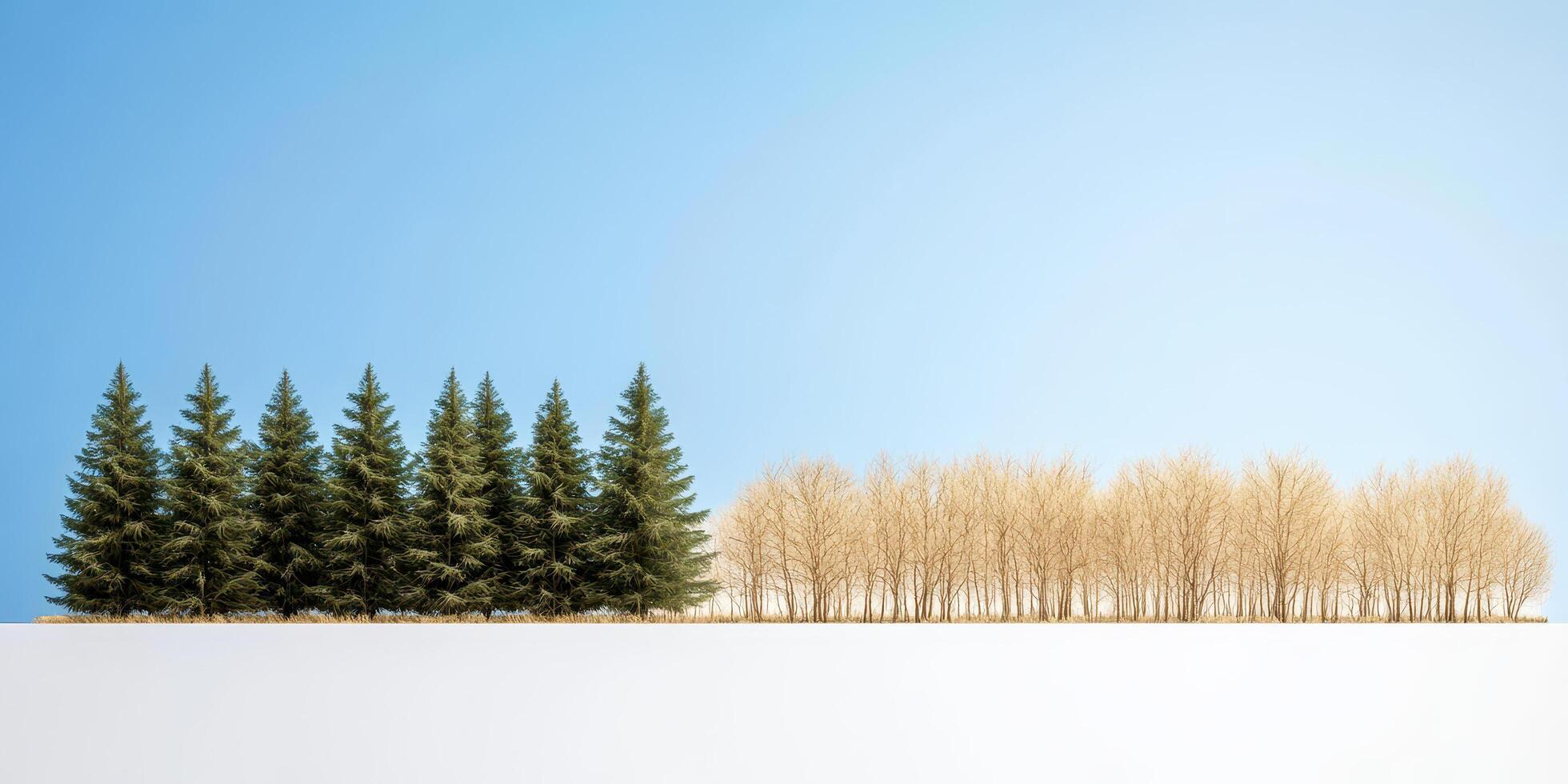 Time lapse scene of forest turning barren showing green pine trees and leafless trees clear sky photo