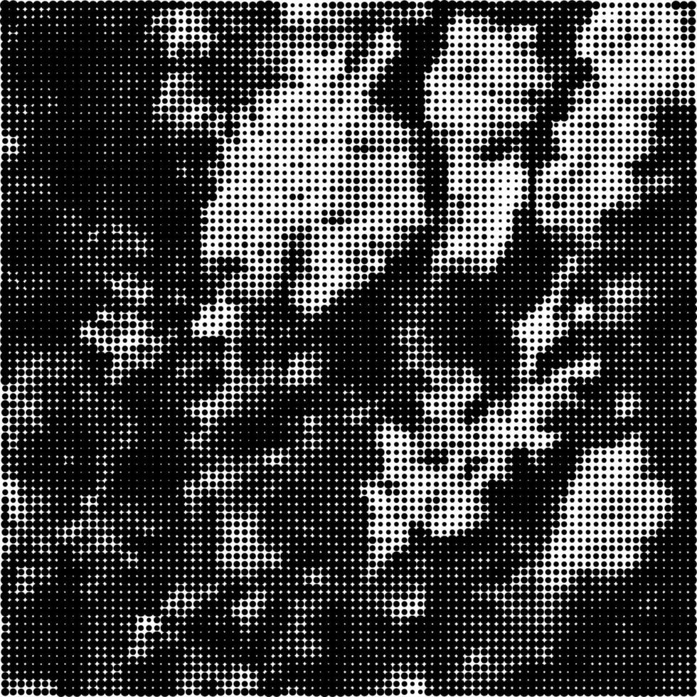 Halftone Pattern. Set of Dots. Dotted Texture on White Background. Overlay Grunge Template. Distress Linear Design. Fade Monochrome Points. Creative Pop Art Backdrop. vector