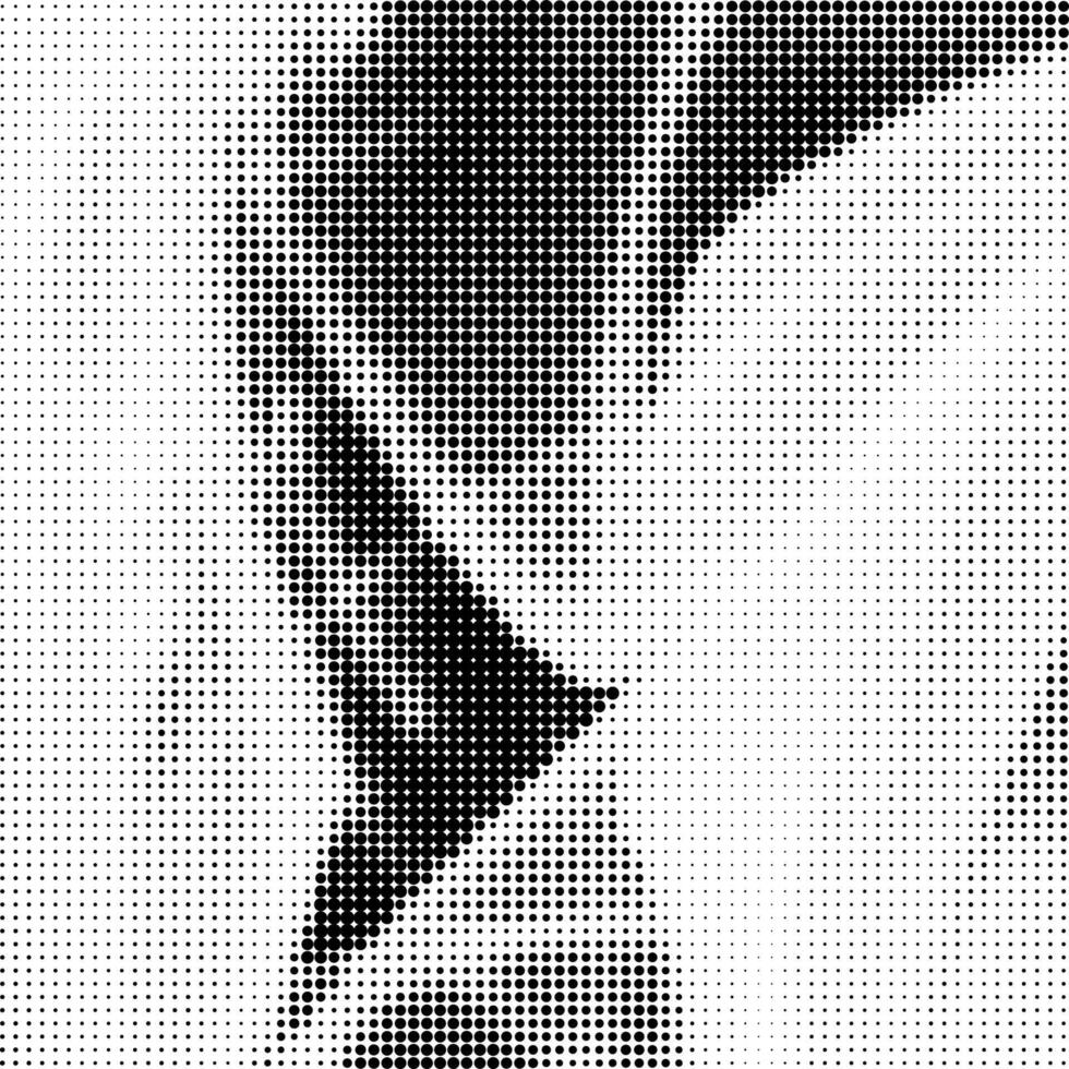 Halftone Pattern. Set of Dots. Dotted Texture on White Background. Overlay Grunge Template. Distress Linear Design. Fade Monochrome Pattern Points. Pop Art Backdrop. vector