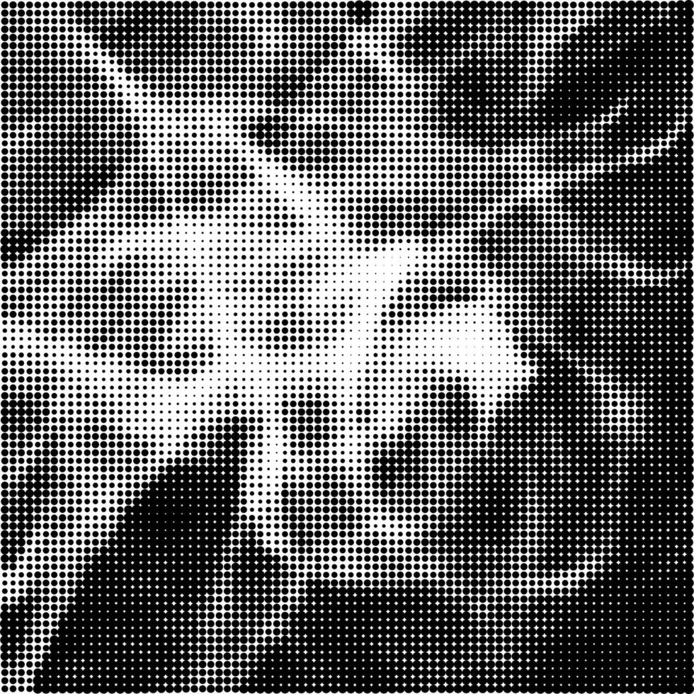 Halftone Pattern. Set of Dots. Dotted Texture on White Background. Overlay Grunge Template. Distress Linear Design. Fade Monochrome Points. Empty Pop Art Backdrop. vector