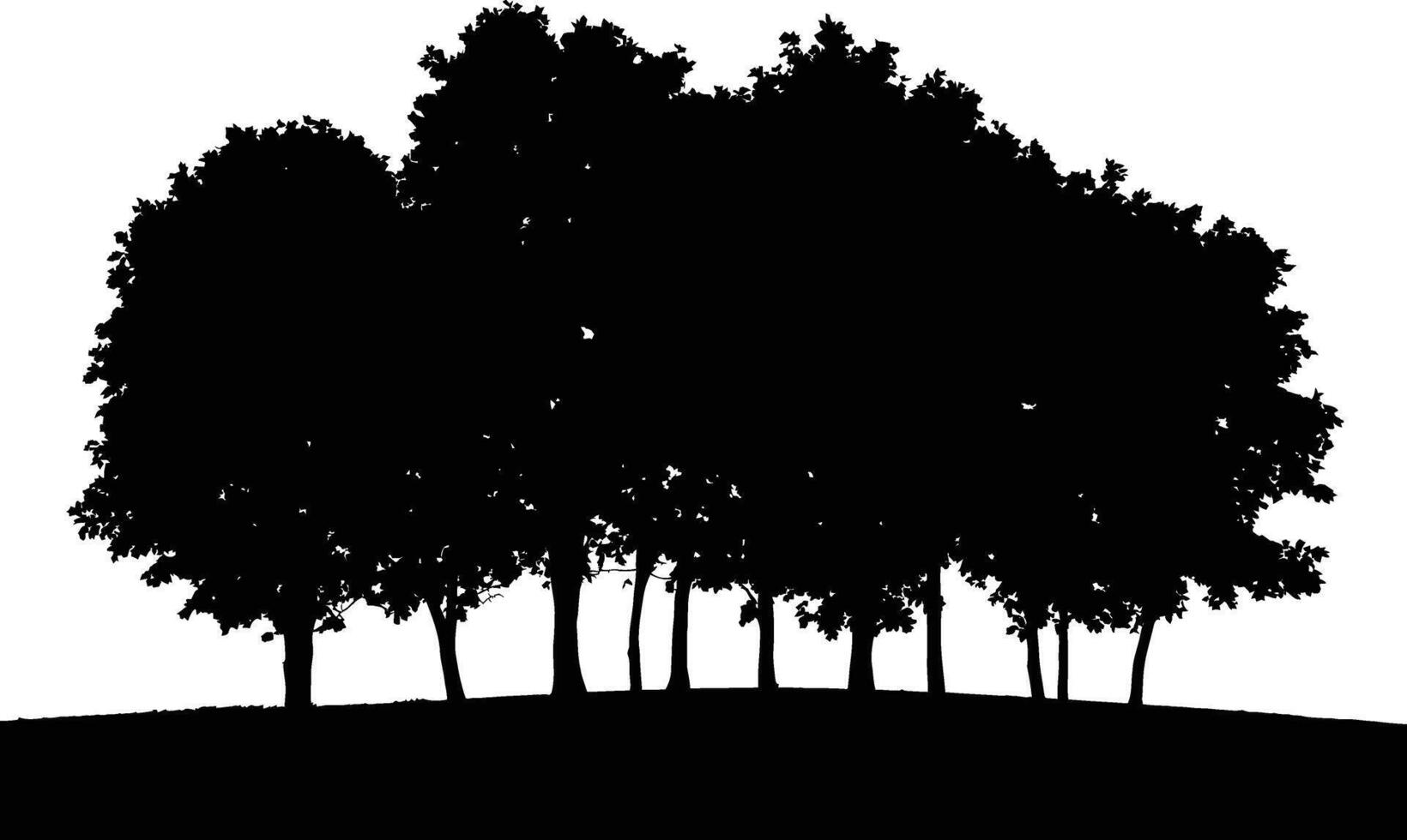 dense A cluster of deciduous foliage forms a striking shadow against a white background vector