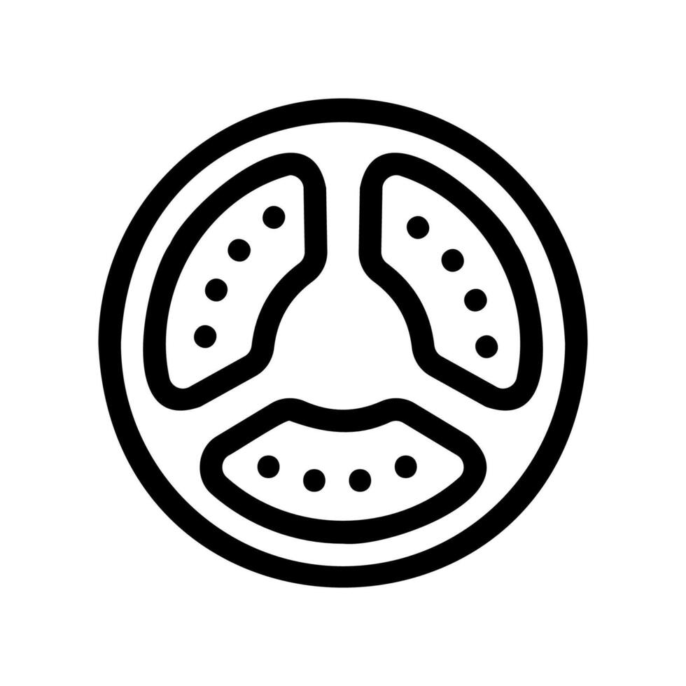 Cross-Section View of a Sliced Tomato in Line Art vector