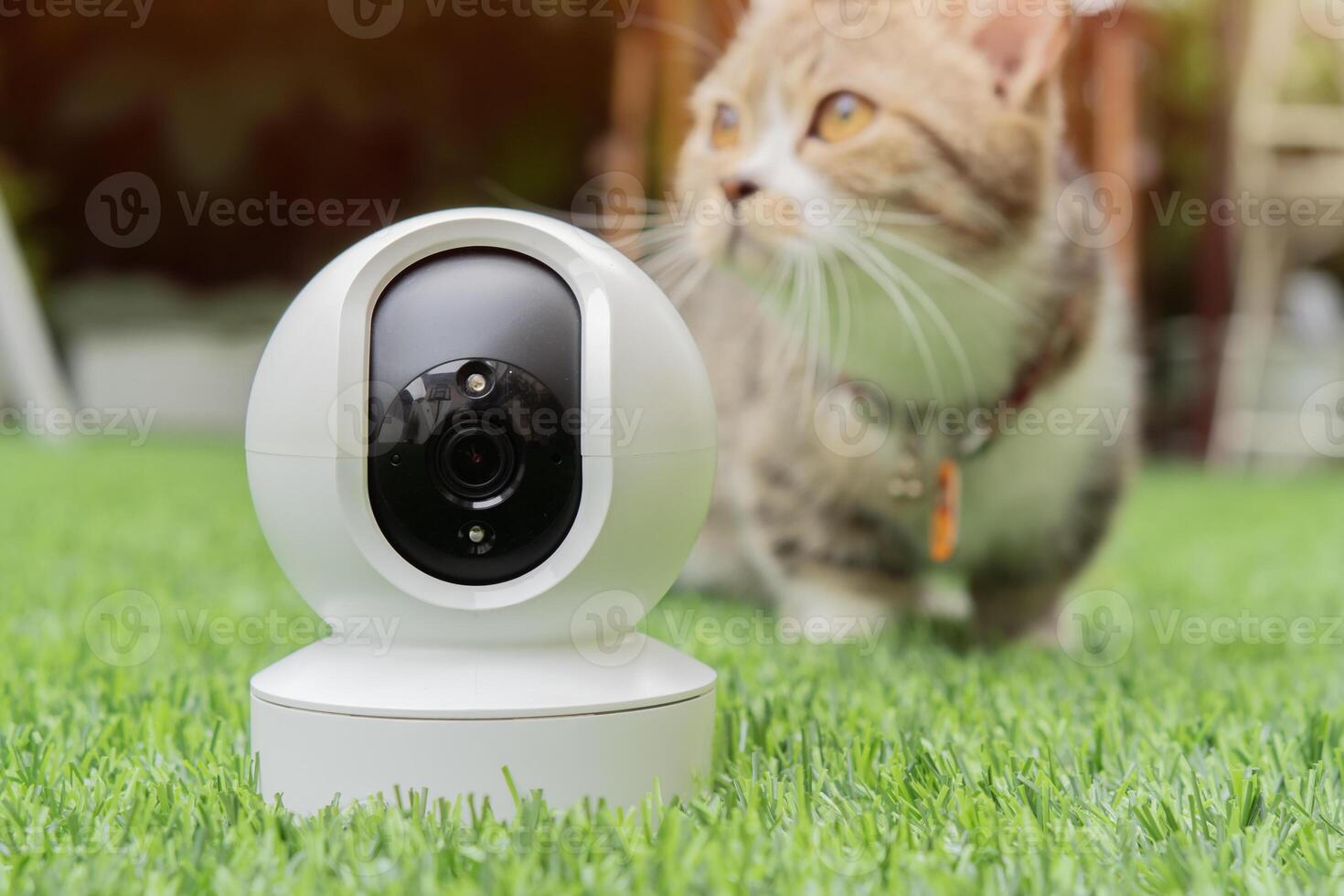 Security camera CCTV setting outdoor in the garden with blurred of domestic cute cat behind. photo