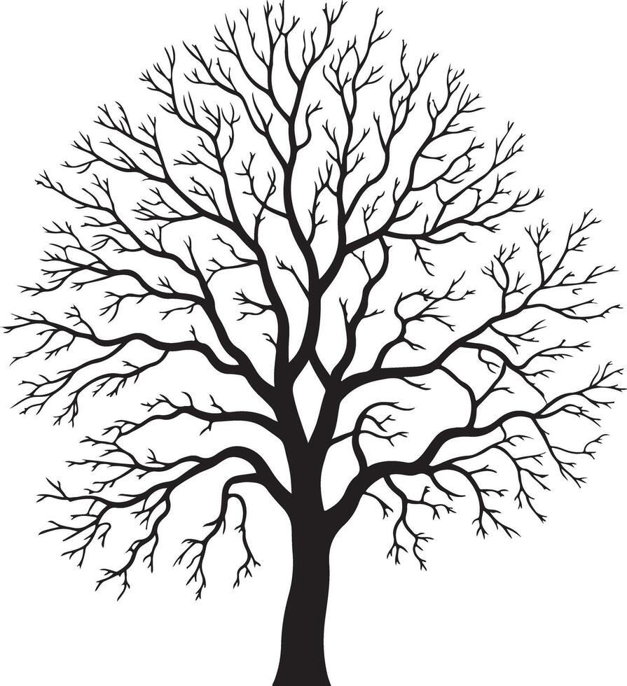 Detailed silhouette of a bare deciduous tree with intricate branches isolated on white background vector