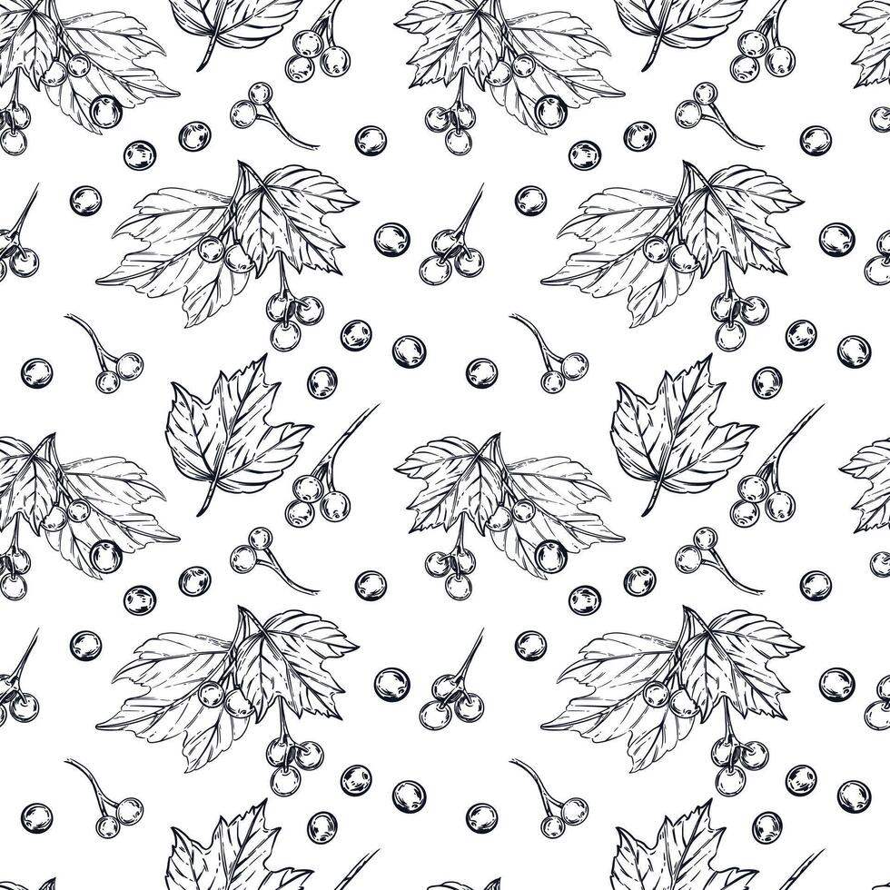 Seamless pattern of viburnum berries, leaves. All objects are hand-drawn in ink and converted into . The illustration is suitable for printing on kitchen textiles, tableware. vector