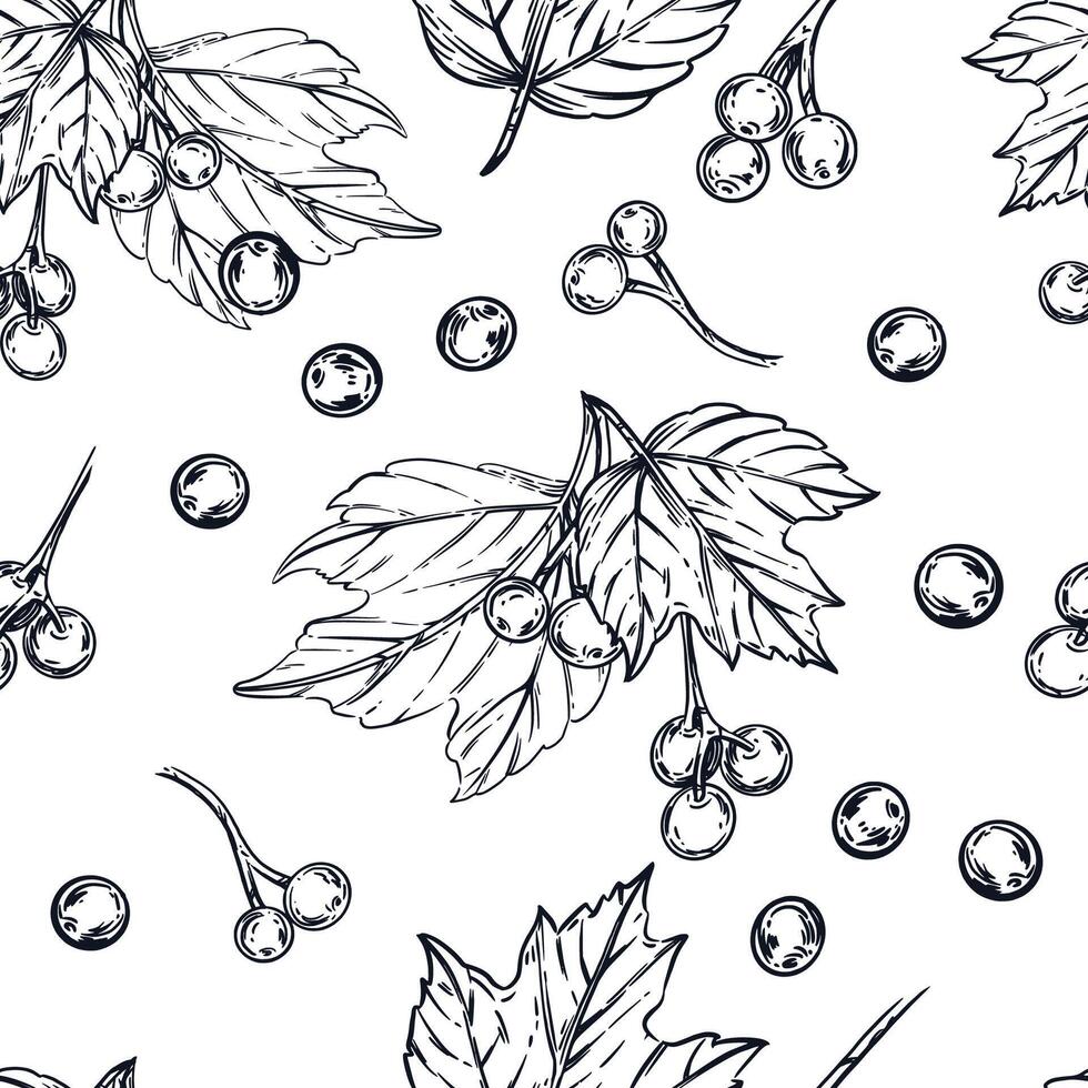 Seamless pattern of viburnum berries, viburnum leaves. All objects are hand-drawn in ink and converted into . The illustration is suitable for printing on kitchen textiles, tableware vector