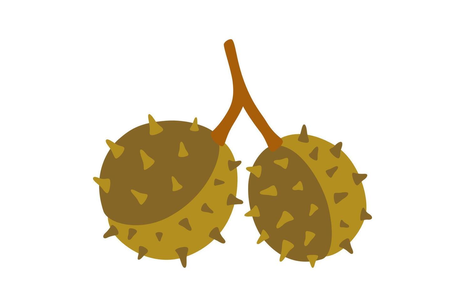 Seeds of chestnut tree, green and brown colors. Simple handdrawn element on a white background for stickers, web design, and postcards vector