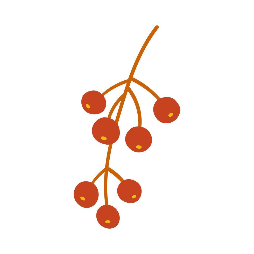 Seeds of virginia creeper, berry of red and brown colors. Simple handdrawn element on a white background for stickers, web design, and postcards vector