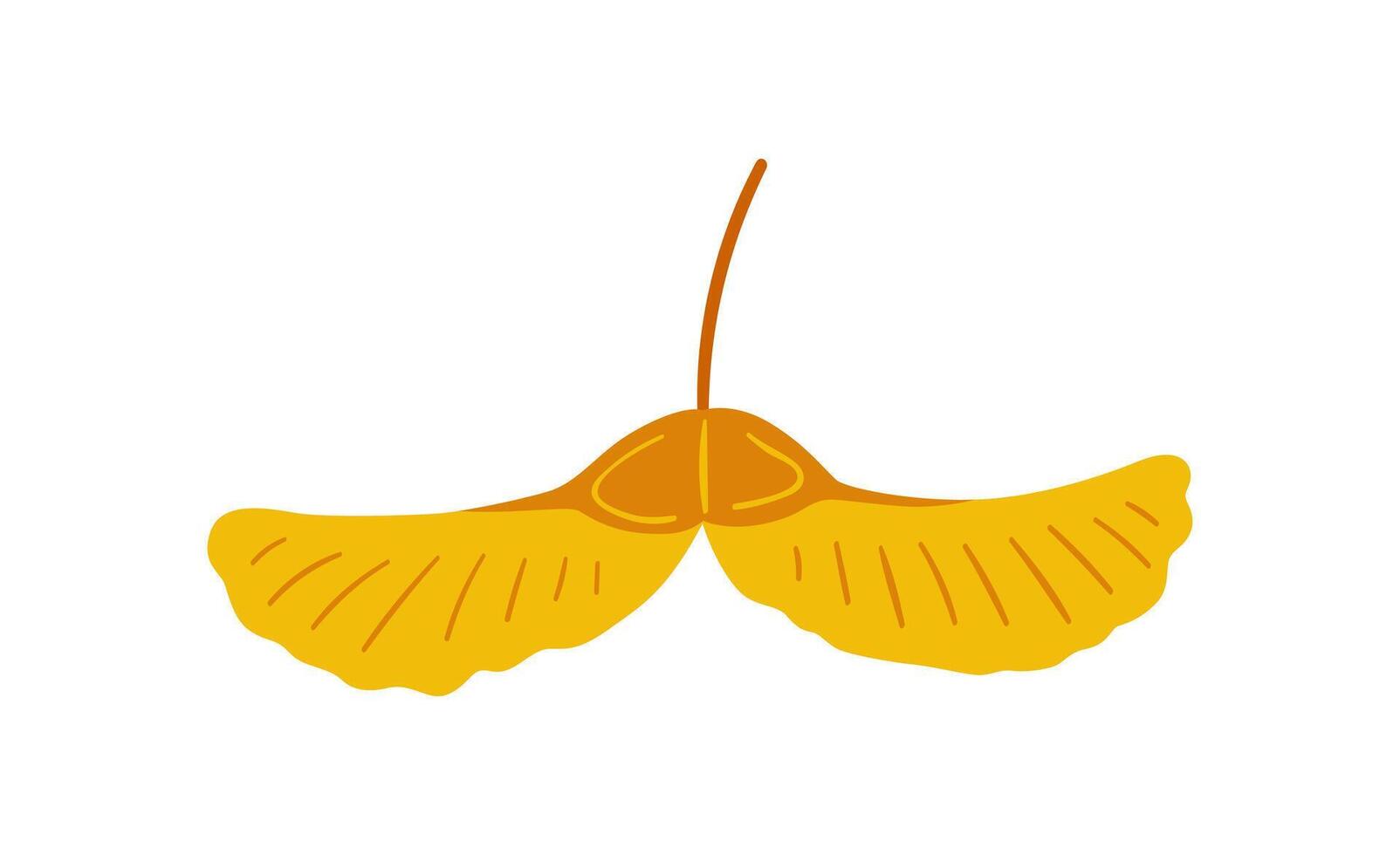 Seeds of winged maple tree, yellow and brown colors. Simple handdrawn element on a white background for stickers, web design, and postcards vector