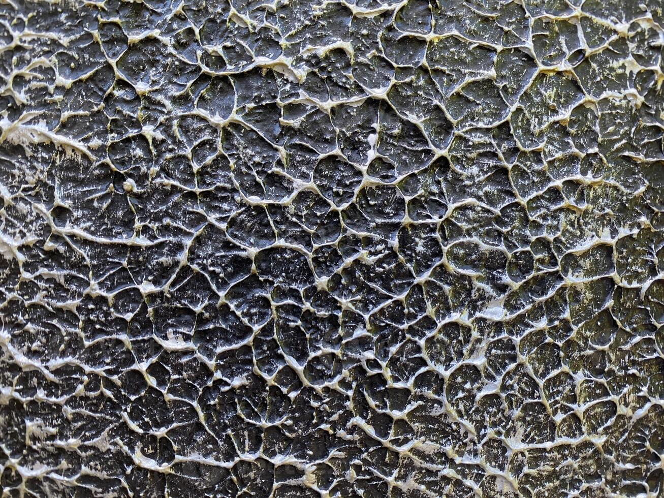 Abstract textured with a complex network of raised lines creating a unique pattern. photo