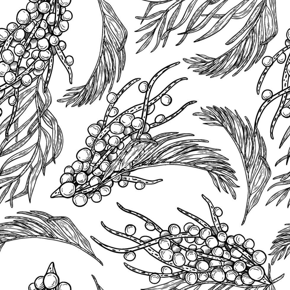 Botanical sketches of unique flora vector