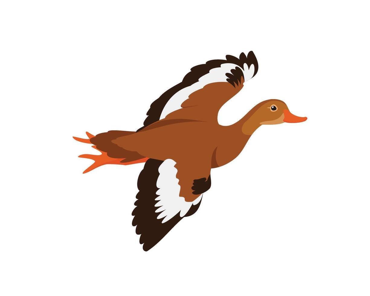 Whistling Duck, Flying Duck in the Sky and Migration vector