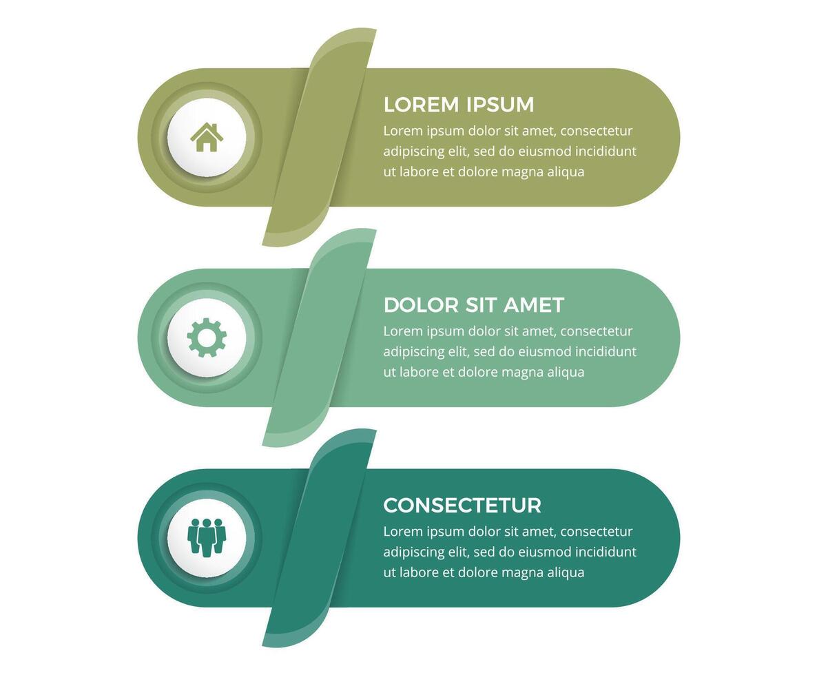 Business infographic design template with three vertical options or steps with icons and place for text vector