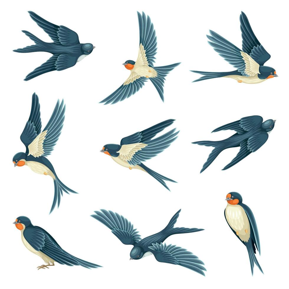 Swallow or Martin Passerine Bird with Long Tail and Pointed Wings Flying and Gliding Set vector