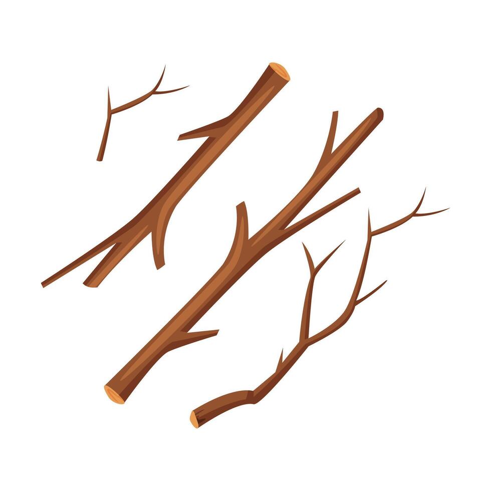 Branches and twigs on a white background vector