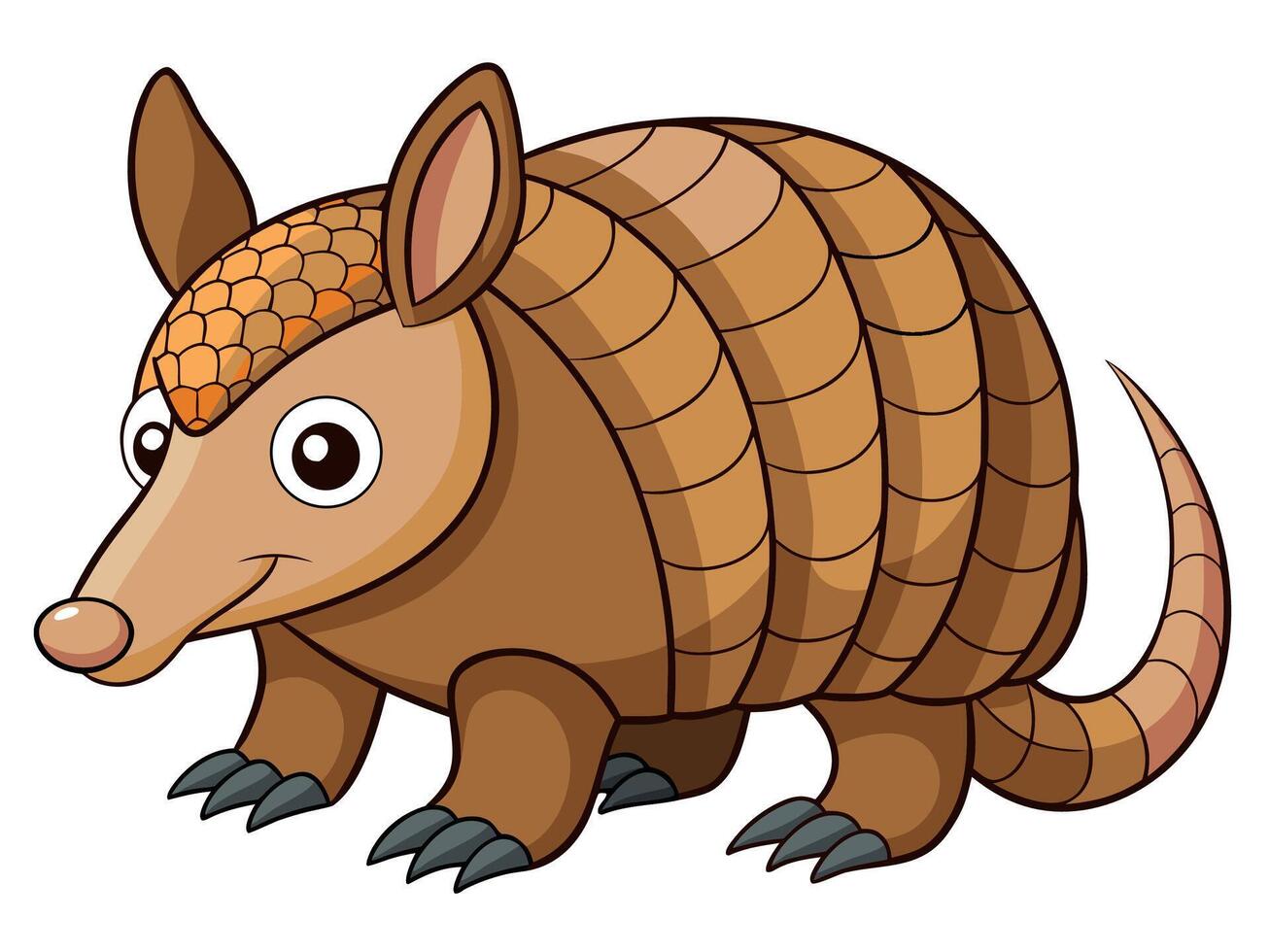 Cartoon armadillo with a protective shell isolated on white background, a unique and interesting mammal vector