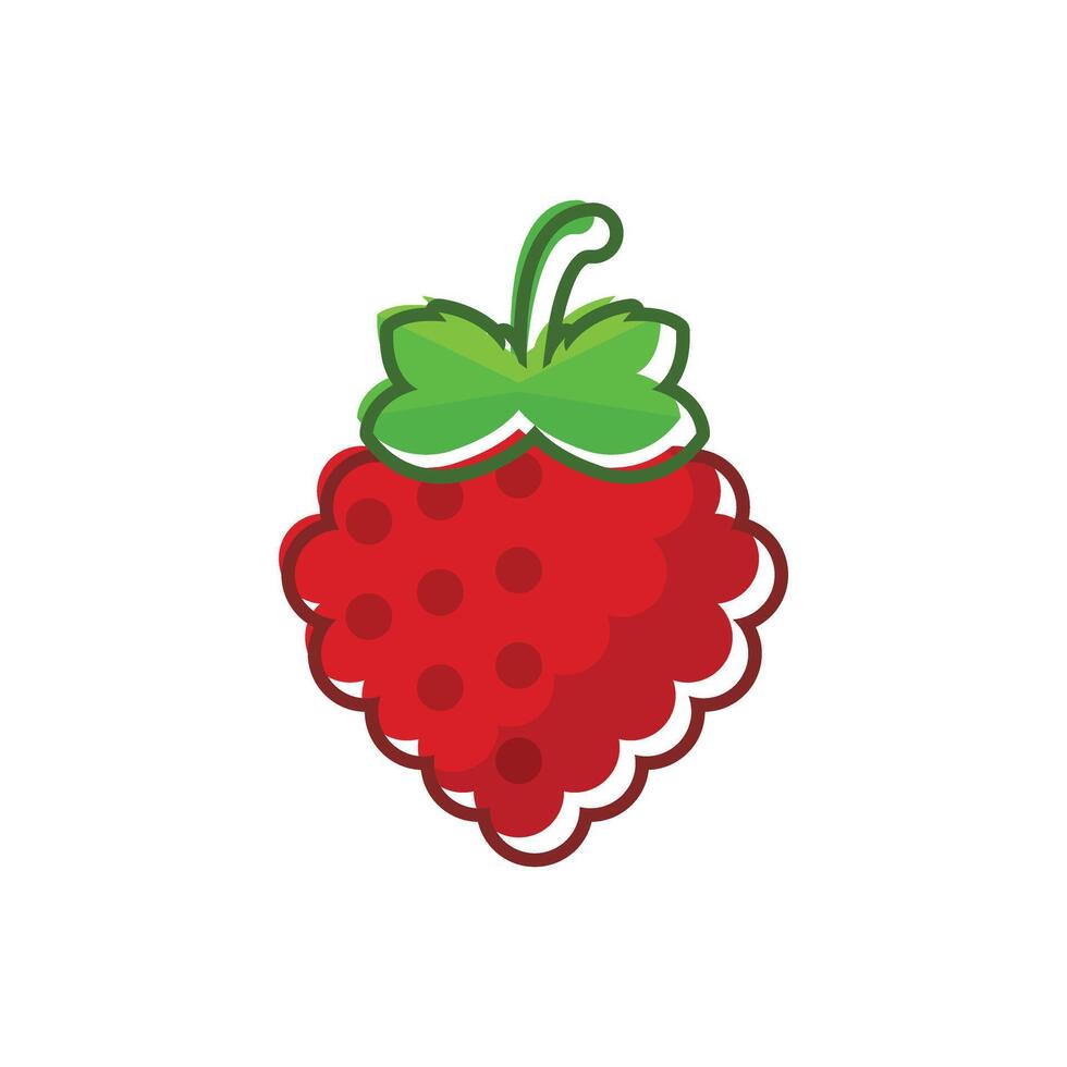 A red raspberry on a white background vector