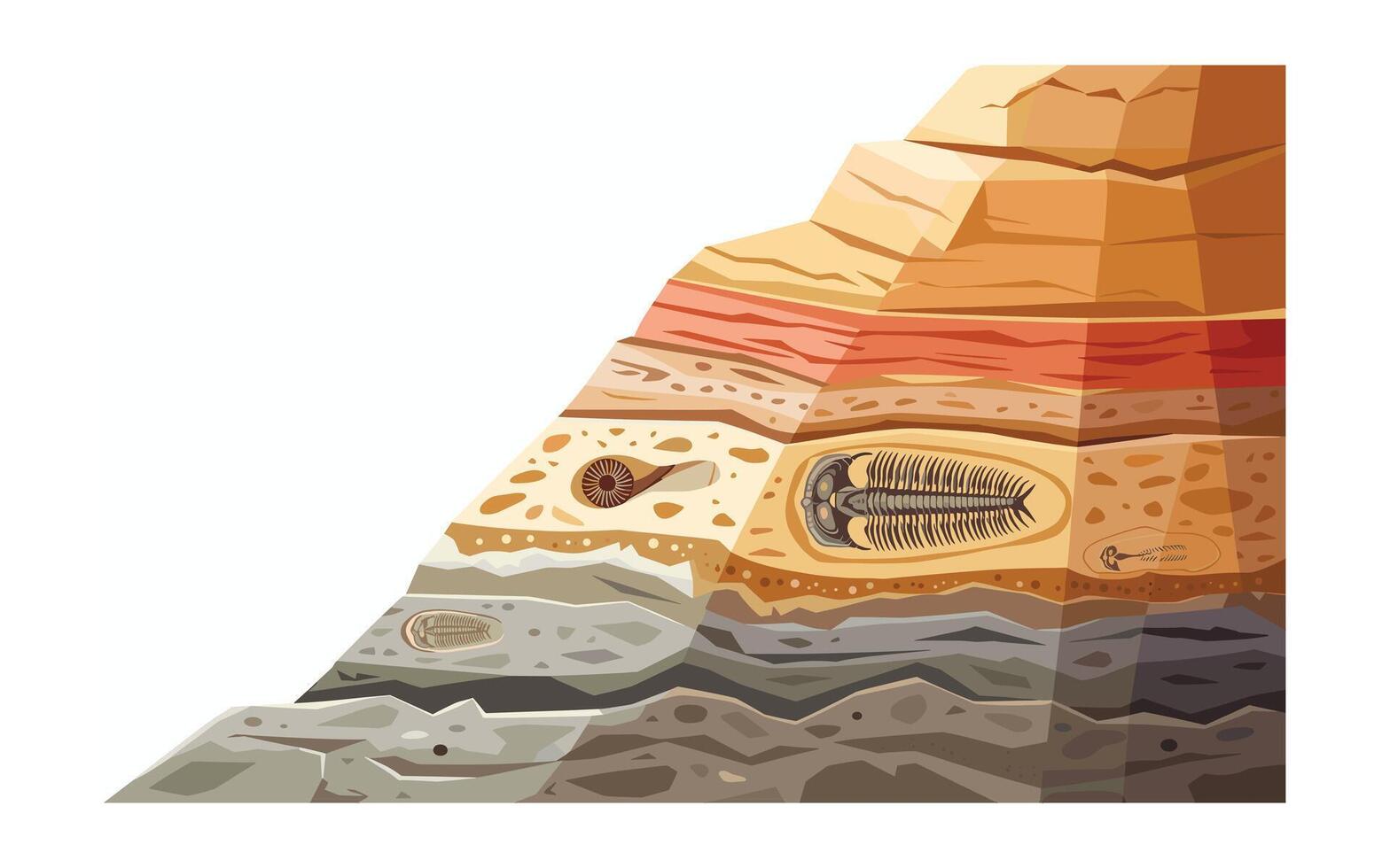 Geological Layers with Fossil Examples Cross Section Illustration of Rock Strata, Sedimentation and Trilobites, Ammonites, and Fish Fossils within the Earth vector
