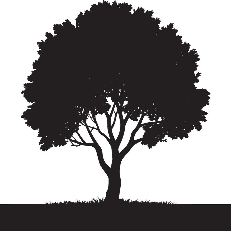 A silhouette of a full tree with a leafy crown and visible branches against a white background space vector