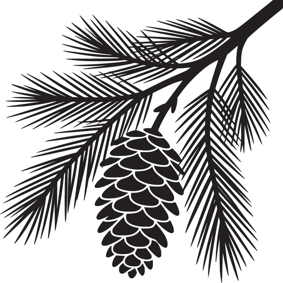 A black and white illustration of a pine branch with needles and a pine cone hanging from the branch vector