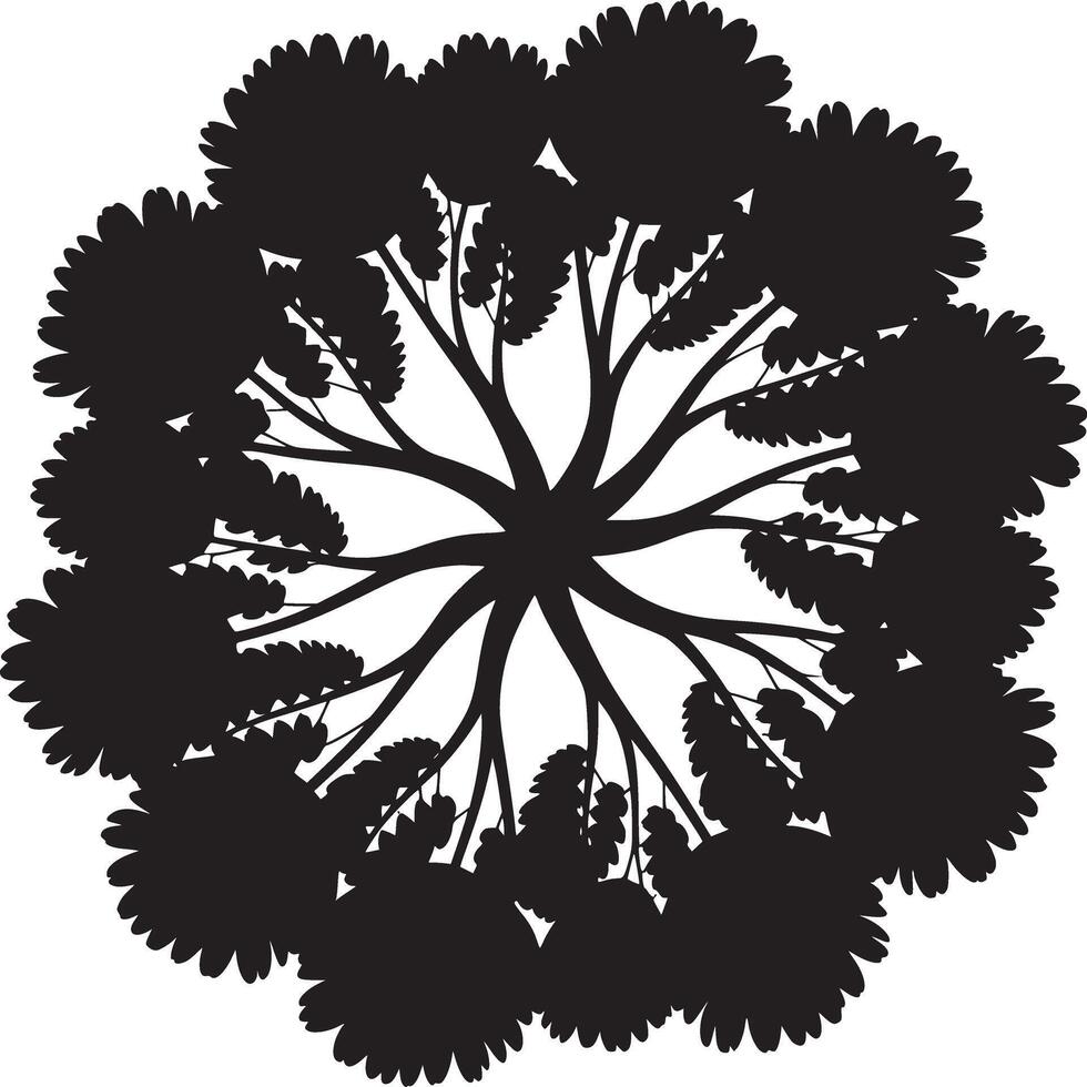Top down view of a tree silhouette with branches radiating outward forming a circular canopy shape vector