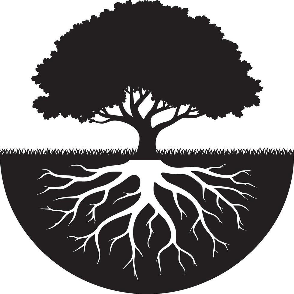 Silhouette of a tree with visible roots against a white background in black and white art style vector
