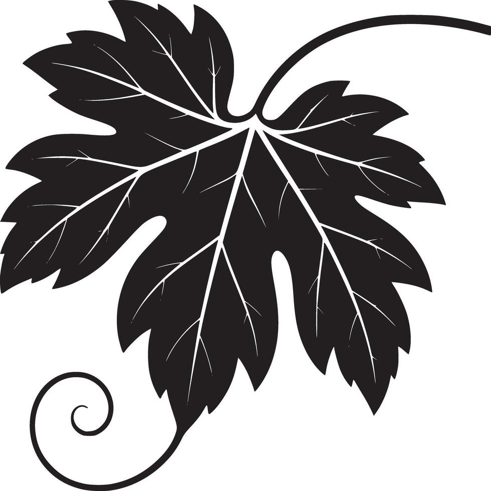 Isolated black and white grape leaf with vine and tendril on a white background in minimalist style vector