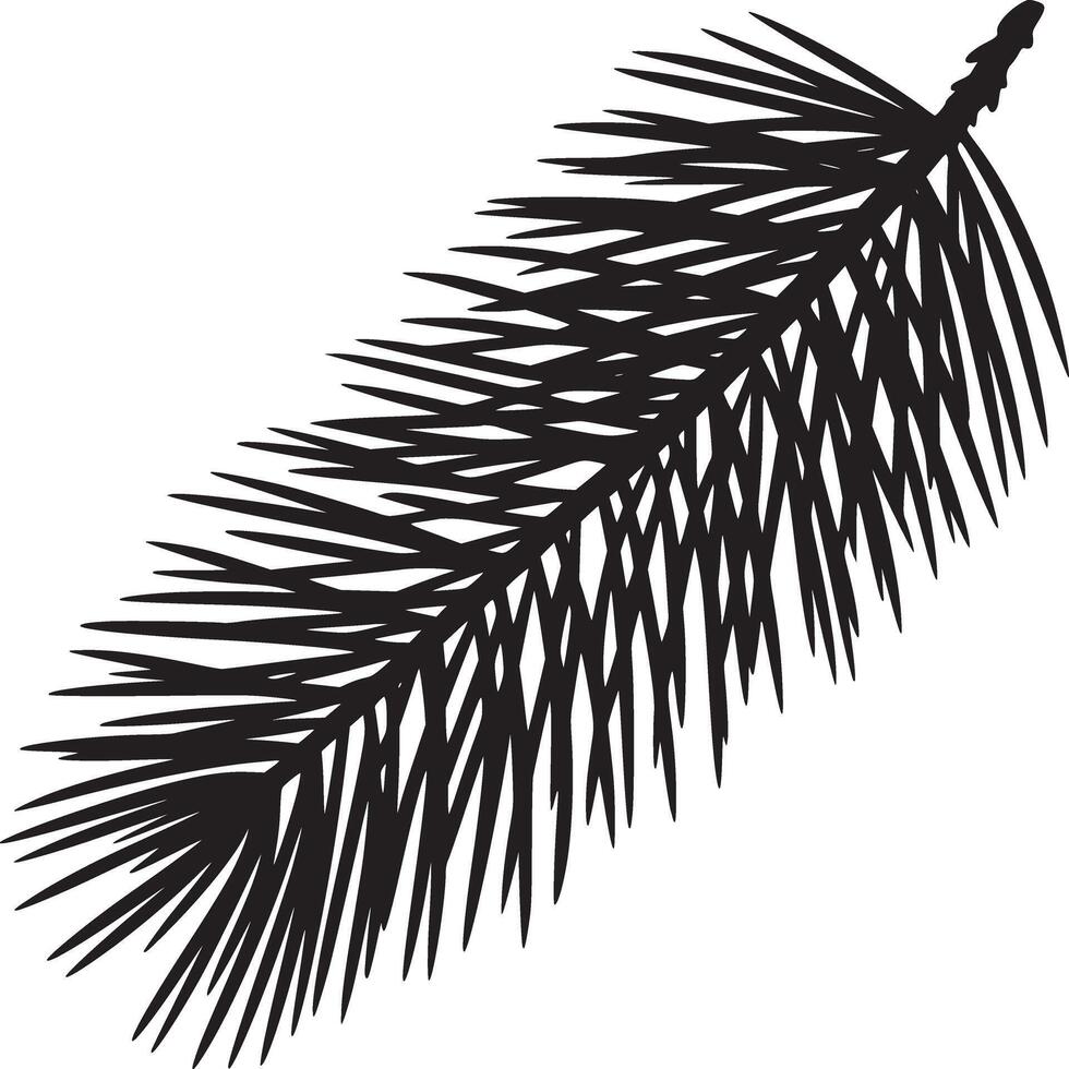A single black silhouette of a pine branch with needles on a white background in high resolution vector