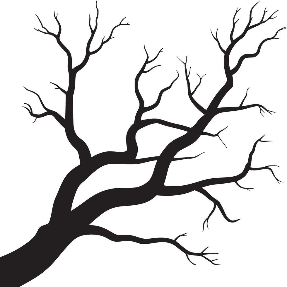 A stark silhouette of a bare tree against a white backdrop showcasing intricate branch patterns and starkness vector
