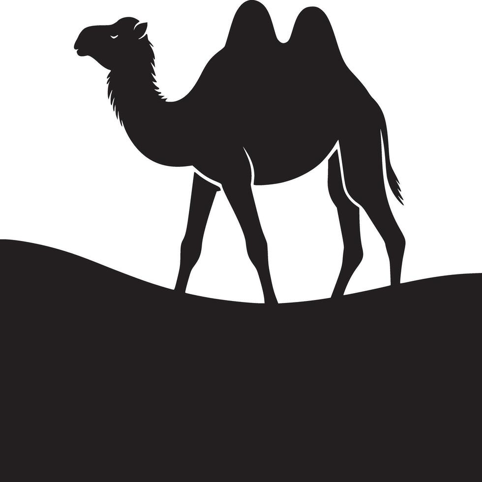 Silhouette of a camel walking in the desert on a white background in a simple and clean design vector