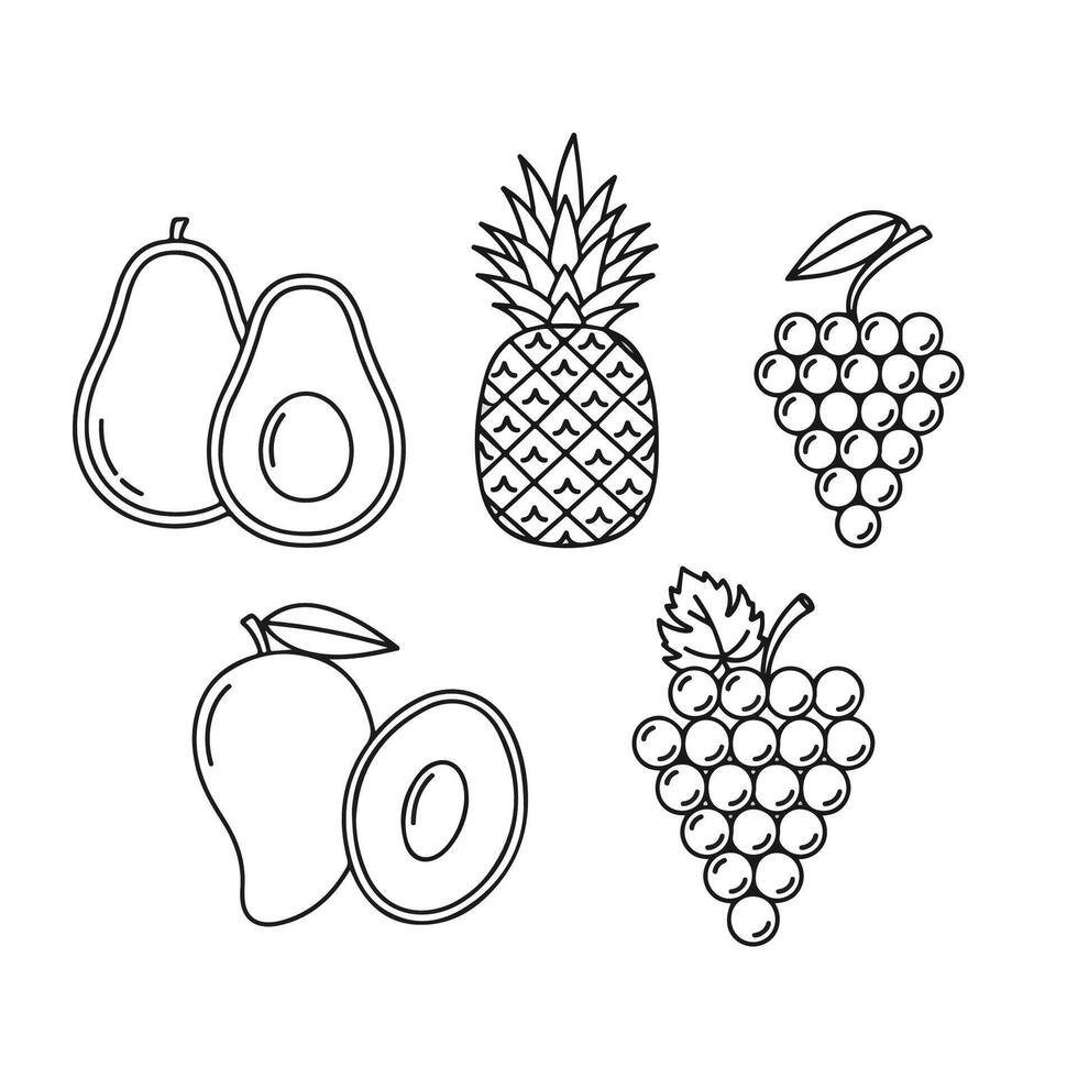 Assorted fruit illustration in simple outline style featuring avocado pineapple grapes and mango vector