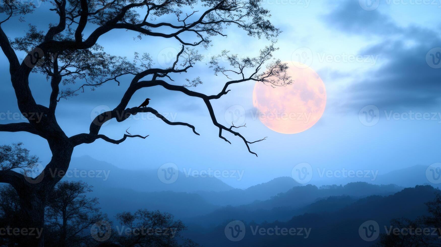 Cat Moonrise Stock Photos, Images and Backgrounds for Free