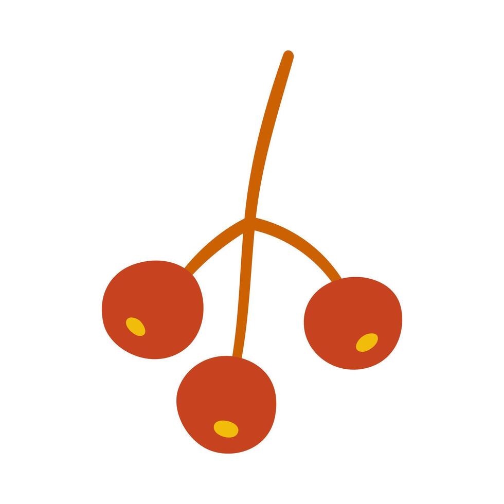 Seeds of virginia creeper, red and brown colors. Simple handdrawn element on a white background for stickers, web design, and postcards vector