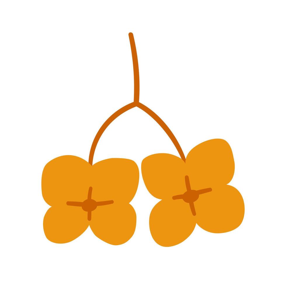 Seeds of euonymus, two berries of orange colors. Simple handdrawn element on a white background for stickers, web design, and postcards vector